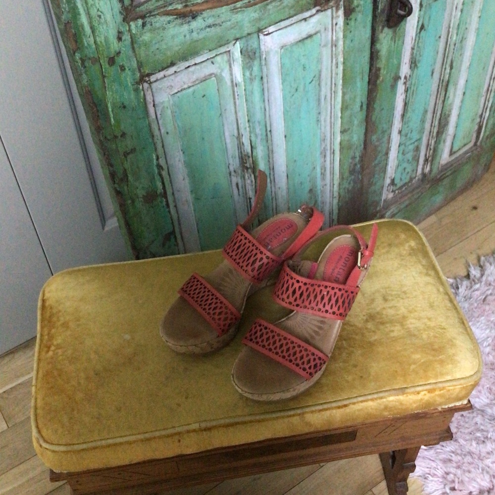 Montana shoe